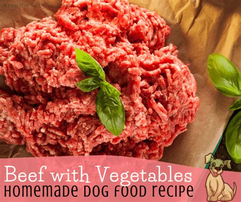 Beefy Bites: Homemade Dog Food Recipes Your Pup Will Love