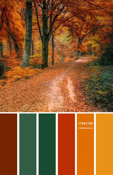 leaf colour chart  leslie hackett blog