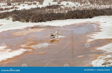 Identifiez-vous En Bois Le Lac De Sel Couvert Dans Le Gisement De Sel ...