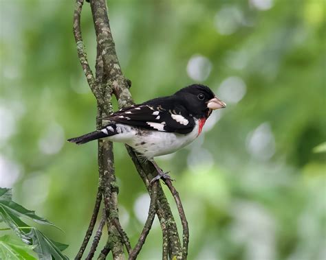 Beautiful Asses Photos, Download The BEST Free Beautiful Asses Stock