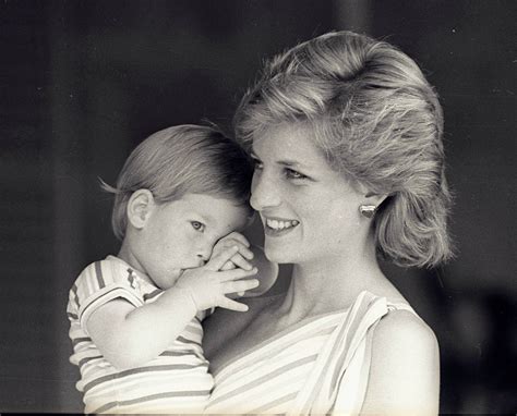 The Murder Of Princess Diana 10