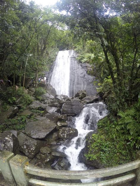 Hiking the El Yunque Trail | Tall Girl Big World