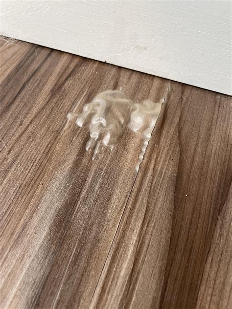 Air freshener leak on most likely laminate floor. It is only bubbled