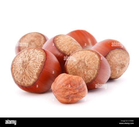 hazelnut or filbert nut isolated on white background cutout Stock Photo - Alamy