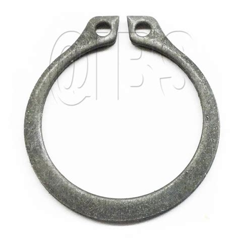 WS138098 Screed King Ret Ring External .669" | WycoParts.com