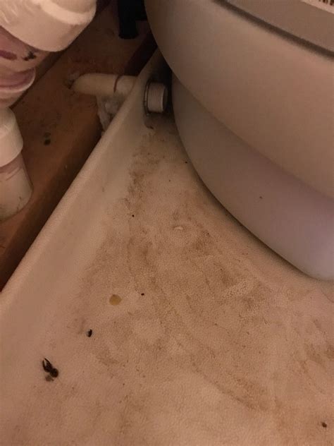 Bad sewer smell in house, seems like this drain is the culprit. More