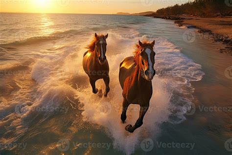 Beautiful horses running on the beach at sunset. Horses in the sea. AI ...