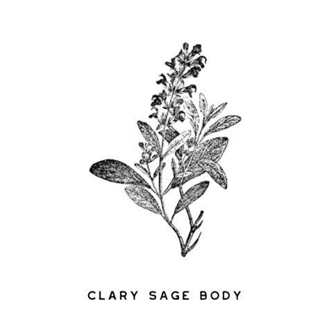Clary Sage Body | Gaborone