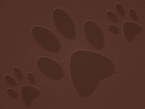paw print backgrounds wallpaperscom