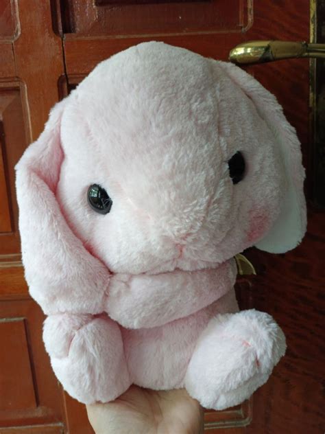 Loppy Bunny Amuse on Carousell