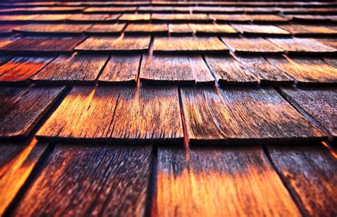 Missing Roof Shingles? Here's Why You Need a Repair | Farina Roofing