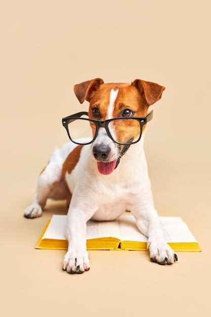 Zoopsychology Images - Free Download on Freepik