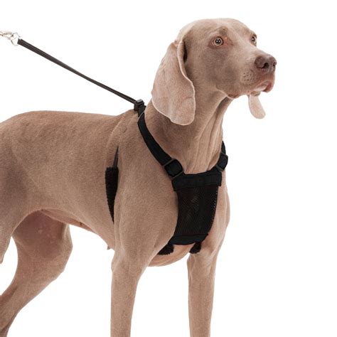 Sporn Non Pull Mesh Harness Black For Large XLarge Dogs - $31.99