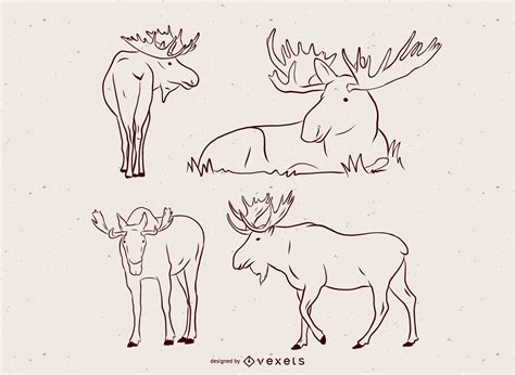 Moose Vector Illustration Set Vector Download