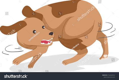 4,297 Tail Chasing Images, Stock Photos & Vectors | Shutterstock