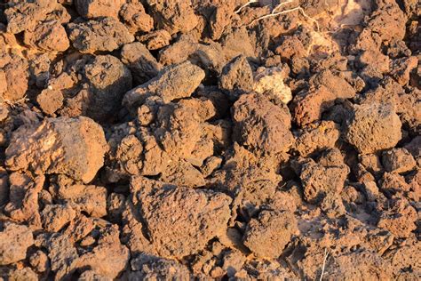 A soil texture 22306402 Stock Photo at Vecteezy