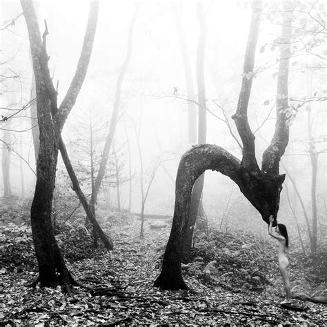 Asheville Fine Art — Asheville Portrait Photographer | Parker J Pfister