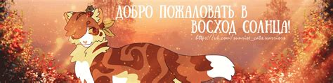 Восход солнца ࿇ Ролевая ࿇ Коты-Воители ࿇ | ☀️ Привет, дружок! 2025 ...