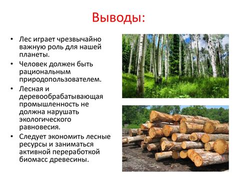 Проблема вырубки лесов в Нижегородской области - презентация онлайн