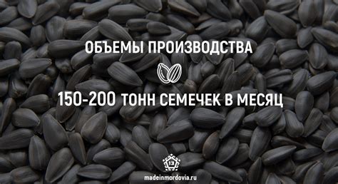 «Карпайские»: история семейного предприятия, покорившего европейский ...