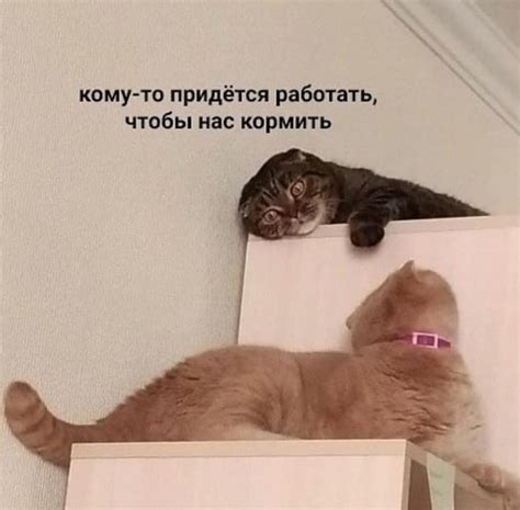Иждивенцы | Пикабу