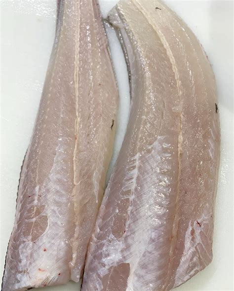 Blue Grenadier Fillets – 1kg - Clamms Seafood Online Shop