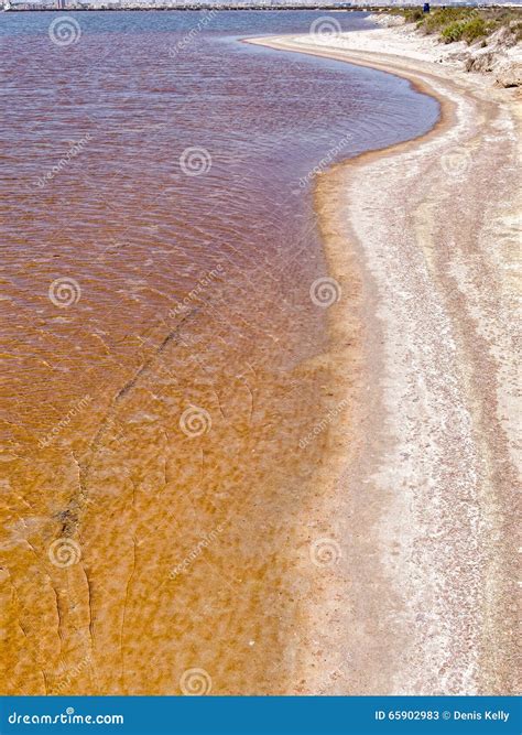 Wetland Nature Reserve in Murcia, Spain Stock Image - Image of flats