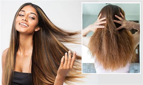 How to repair hair damage - six step guide | Express.co.uk