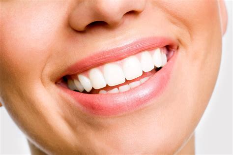 La dentition (Bouche 101) - ODQ