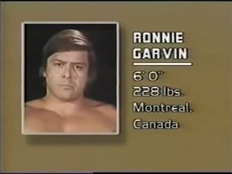 🎙 The Wrestling Memory Grenade 🎙 on Twitter: "These bio slides feels