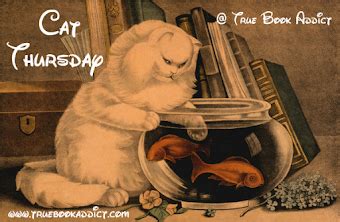 true book addictbooks cats   catthursday rosa silvas