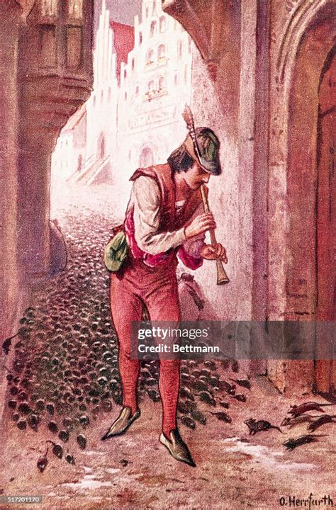 book illustration  grimms fairy tales showing  pied piper