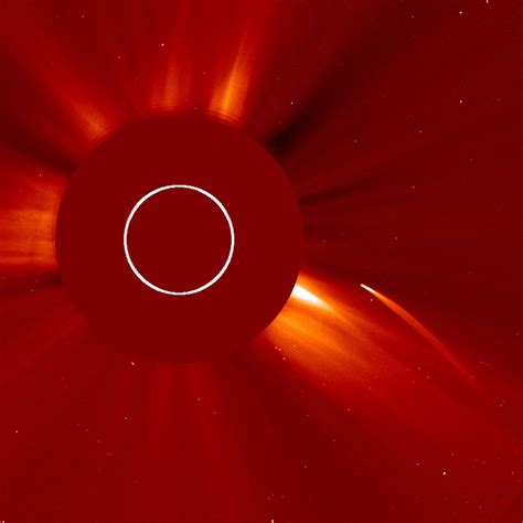 SOHO Nears 3,000 Comet Discoveries - Universe Today