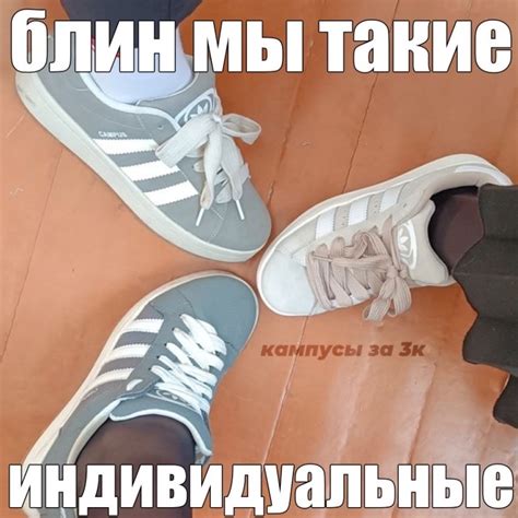 кампусы за 3к 2024 | ВКонтакте