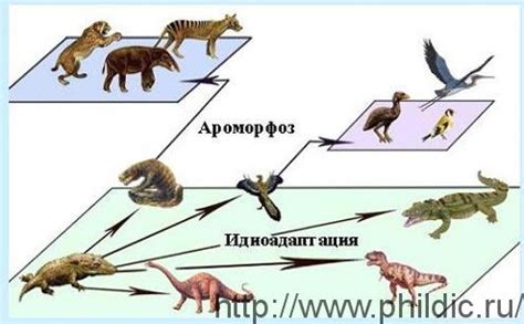 Дегенерация - Научно-популярный журнал: «Философия и жизнь»