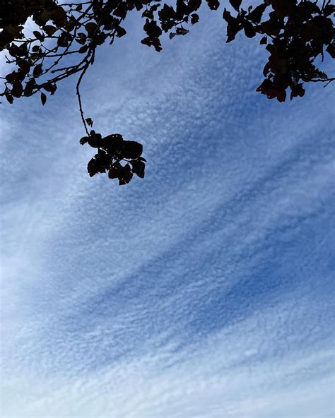 Victoria Sun (@victoriasunmusic) • Instagram photos and videos