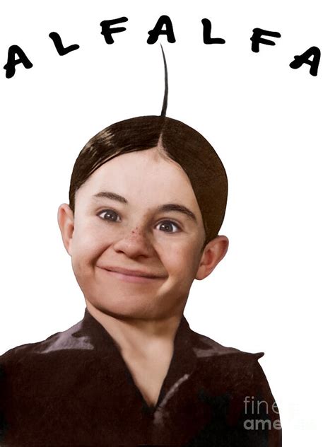 Alfalfa Cowlick Chronicles Digital Art by Franchi Torres - Pixels