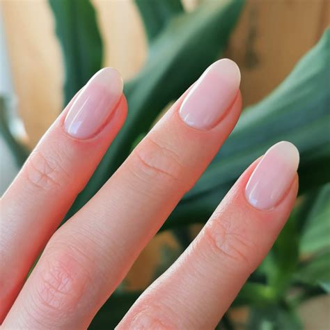 guide  builder gel application