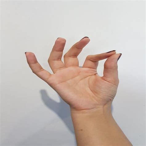 hand detection object detection model  faizan