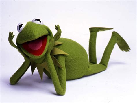kermit  muppets wallpaper  fanpop