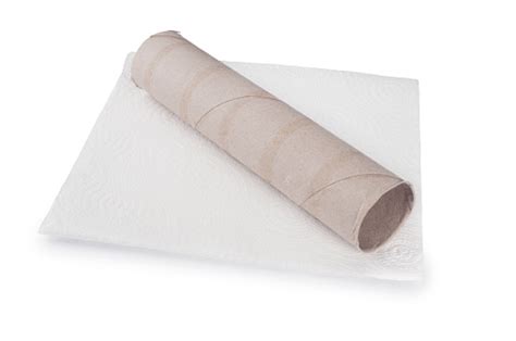 empty kitchen roll stock photo  image  istock