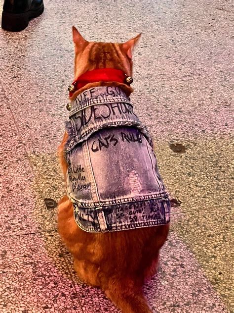 Coney Island Laser Light Shows - Brooklyn, NY - Nextdoor