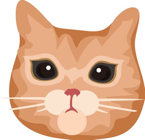 dog face  cat face  jack belser blog