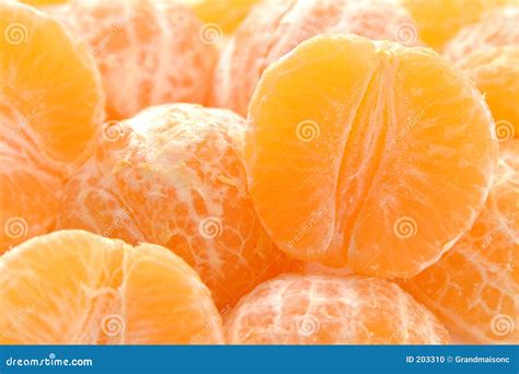 clementine close royalty  stock photography cartoondealercom