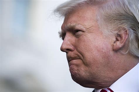 Pictures of Brandy Talore