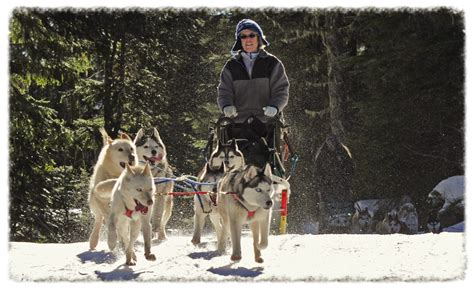 Dog Mushing | ccwrc