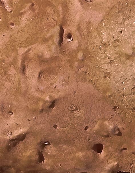 mars planet