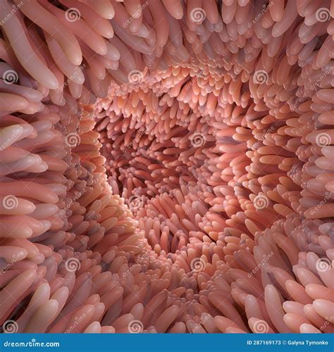 rendering medically accurate illustration  intestinal villi red