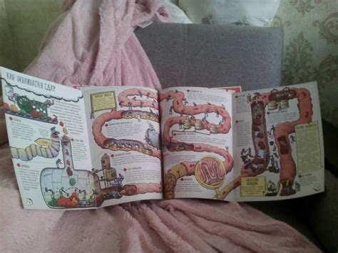 Книга: "Большое путешествие по телу человека" - Джон Фарндон. Купить ...