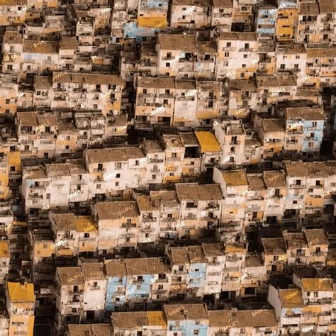 kowloon city pattern crew